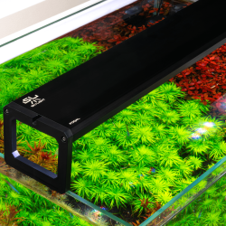Skylight FOQAL – inteligentne oświetlenie LED do każdego zbiornika