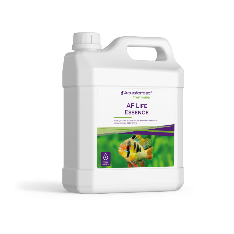 Aqua Forest Life Essence- twój partner podczas podmian wody w akwarium