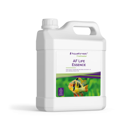 Aqua Forest Life Essence- twój partner podczas podmian wody w akwarium