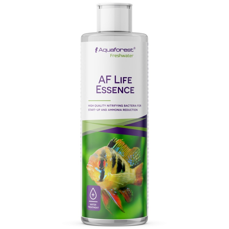 Aqua Forest Life Essence- twój partner podczas podmian wody w akwarium