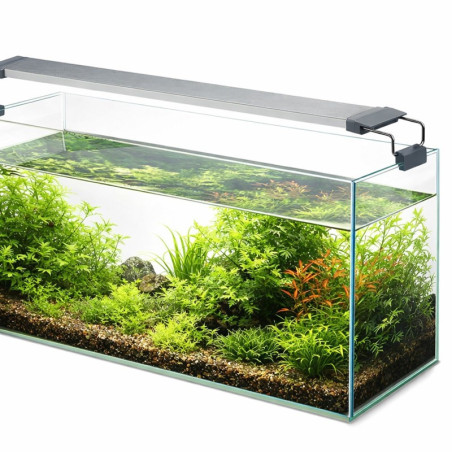 Chihiros W75 LED – inteligentne oświetlenie WRGB Bluetooth
