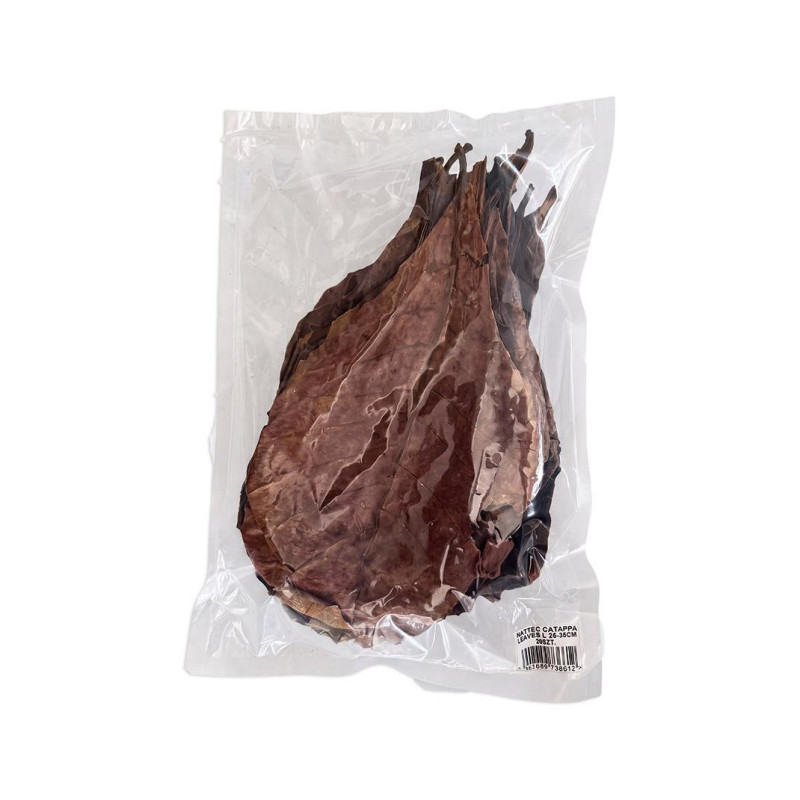 NATTEC Catappa Leaves – liście migdałecznika do akwarium