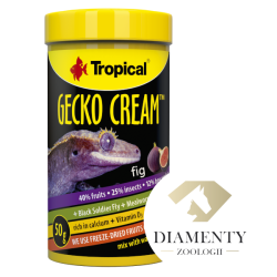 Tropical Gecko Cream Apricot – pokarm dla gekonów | Catfish