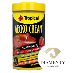 Tropical Gecko Cream Strawberry – pokarm dla gekonów | Catfish