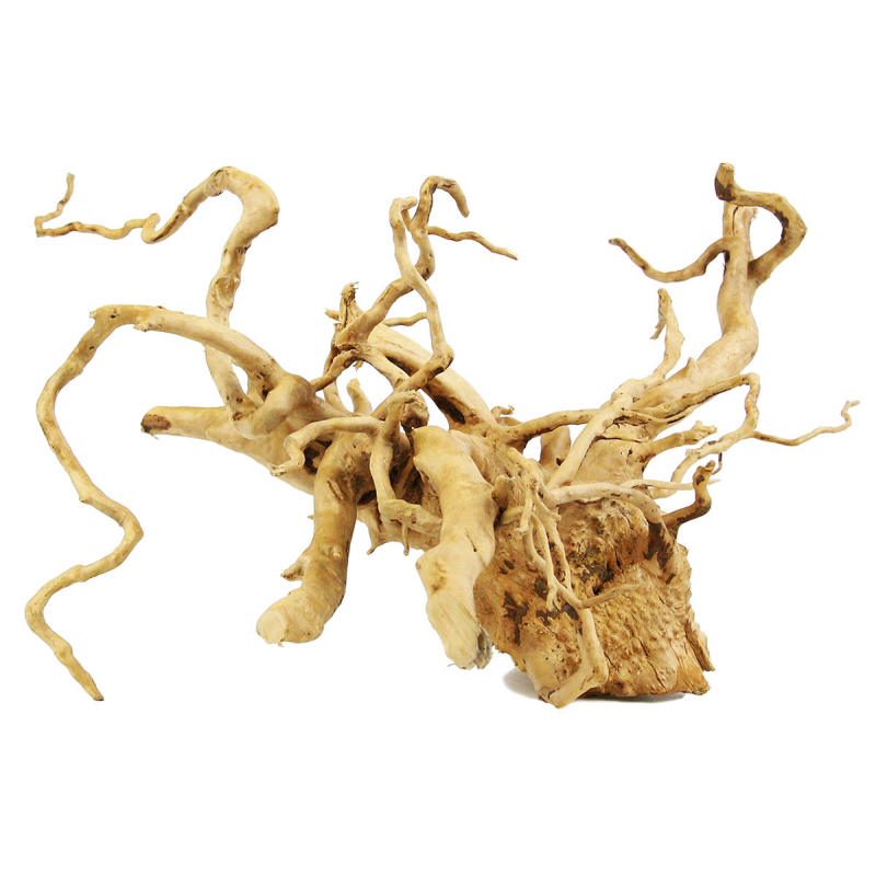Red Moor Wood S Rotala Premium – korzeń do akwarium