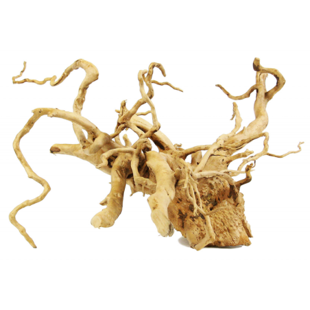 Red Moor Wood S Rotala Premium – korzeń do akwarium