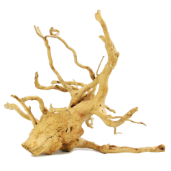 Red Moor Wood S Rotala Premium – korzeń do akwarium