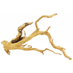 Red Moor Wood S Rotala Premium – korzeń do akwarium