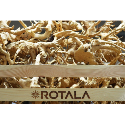 Red Moor Wood S Rotala Premium – korzeń do akwarium