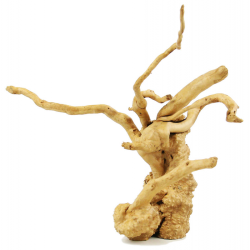 Red Moor Wood S Rotala Premium – korzeń do akwarium