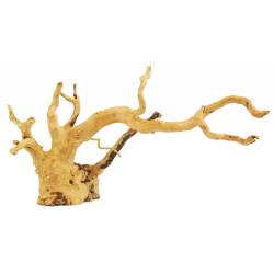Red Moor Wood S Rotala Premium – korzeń do akwarium