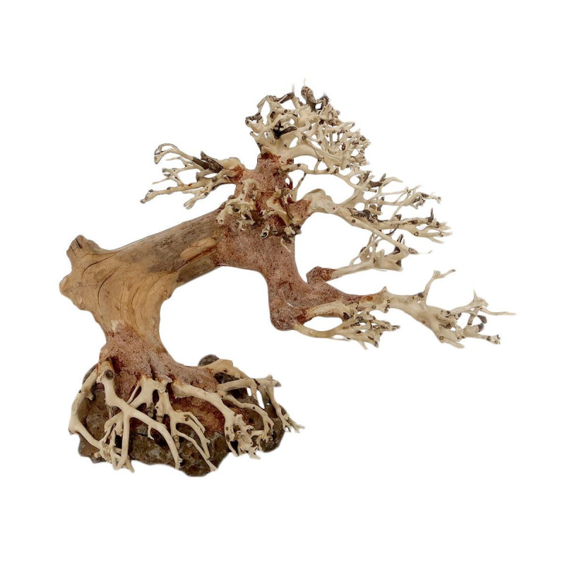 ProGrow Bonsai Tree - idealne do obsadzenia różnymi gatunkami mchów.