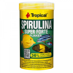 Zadbaj o swoje ryby - wybierz Tropical Spirulina Super Forte 36%