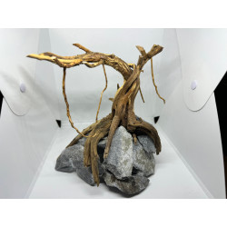 Drift wood i skałka w formie drzewka -unikalny element dla akwarium