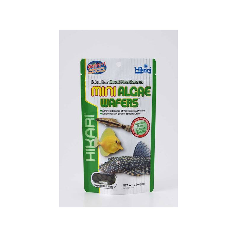 Hikari Mini Algae Wafers - Wzmacnia odporność ryb i wspomaga wzrost