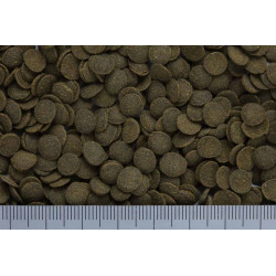 Hikari Mini Algae Wafers - Wzmacnia odporność ryb i wspomaga wzrost