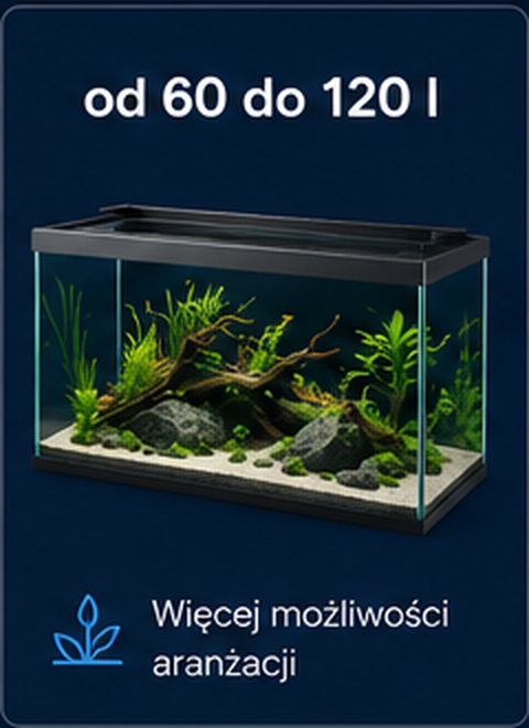 Akwaria od 60 do 120 litrów