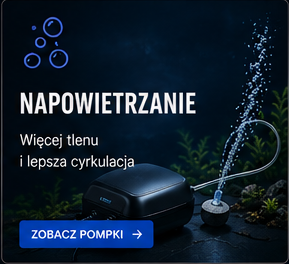 Pompki napowietrzające