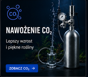 Nawożenie CO2 do akwarium