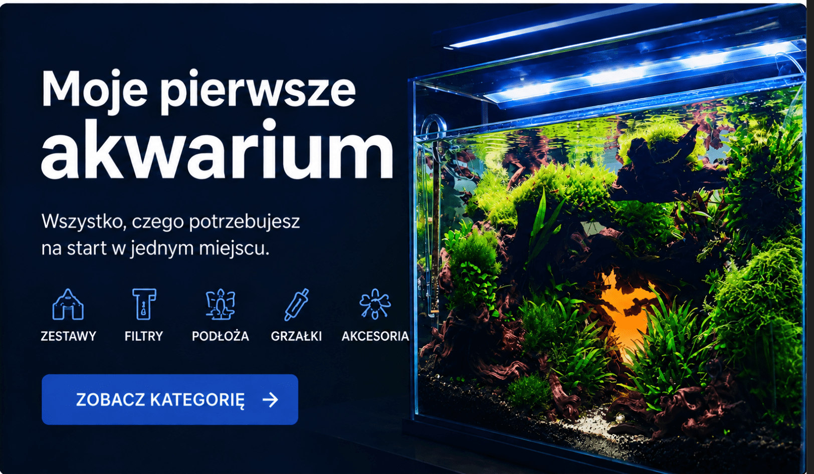 Moje pierwsze akwarium 